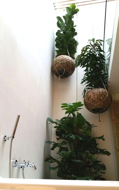 Hangende plantenbakken